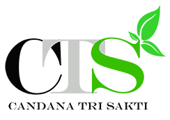 CTS